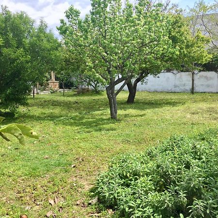 Salento Appartamenti Casalabate Eksteriør billede