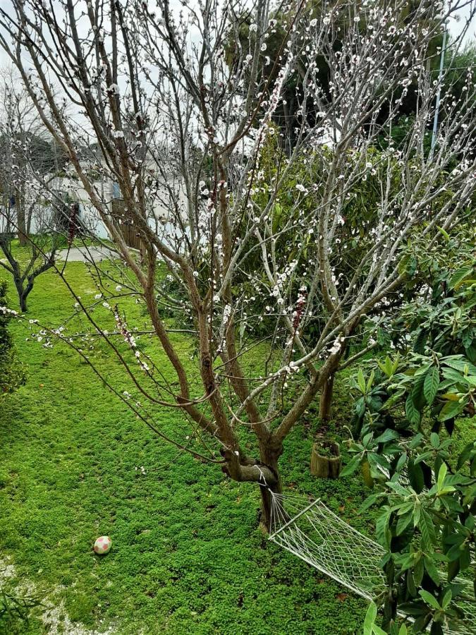 Salento Appartamenti Casalabate Eksteriør billede