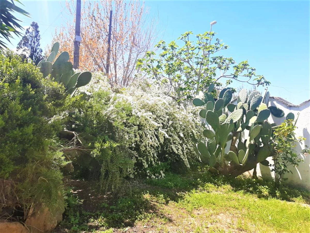 Salento Appartamenti Casalabate Eksteriør billede