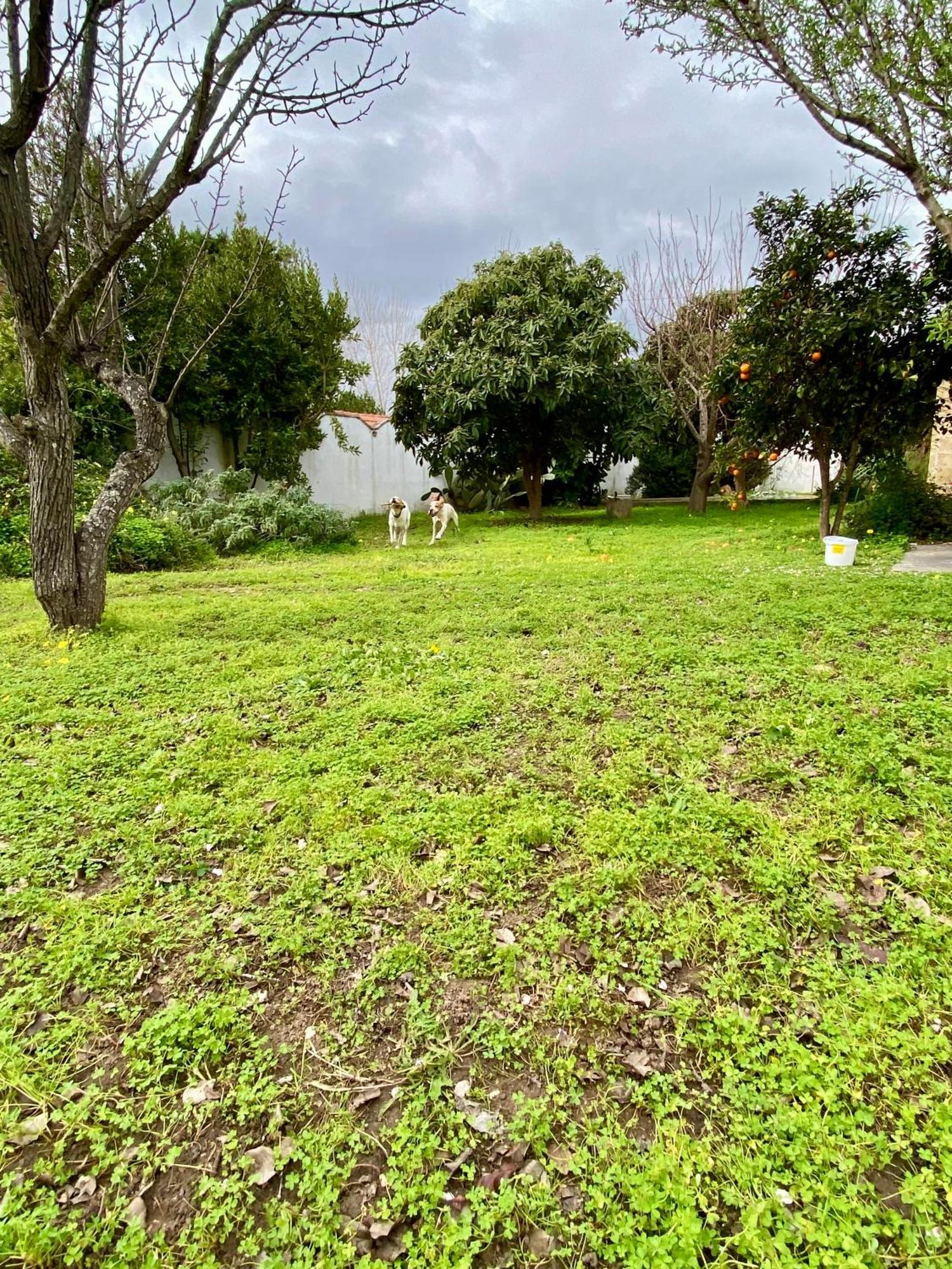 Salento Appartamenti Casalabate Eksteriør billede