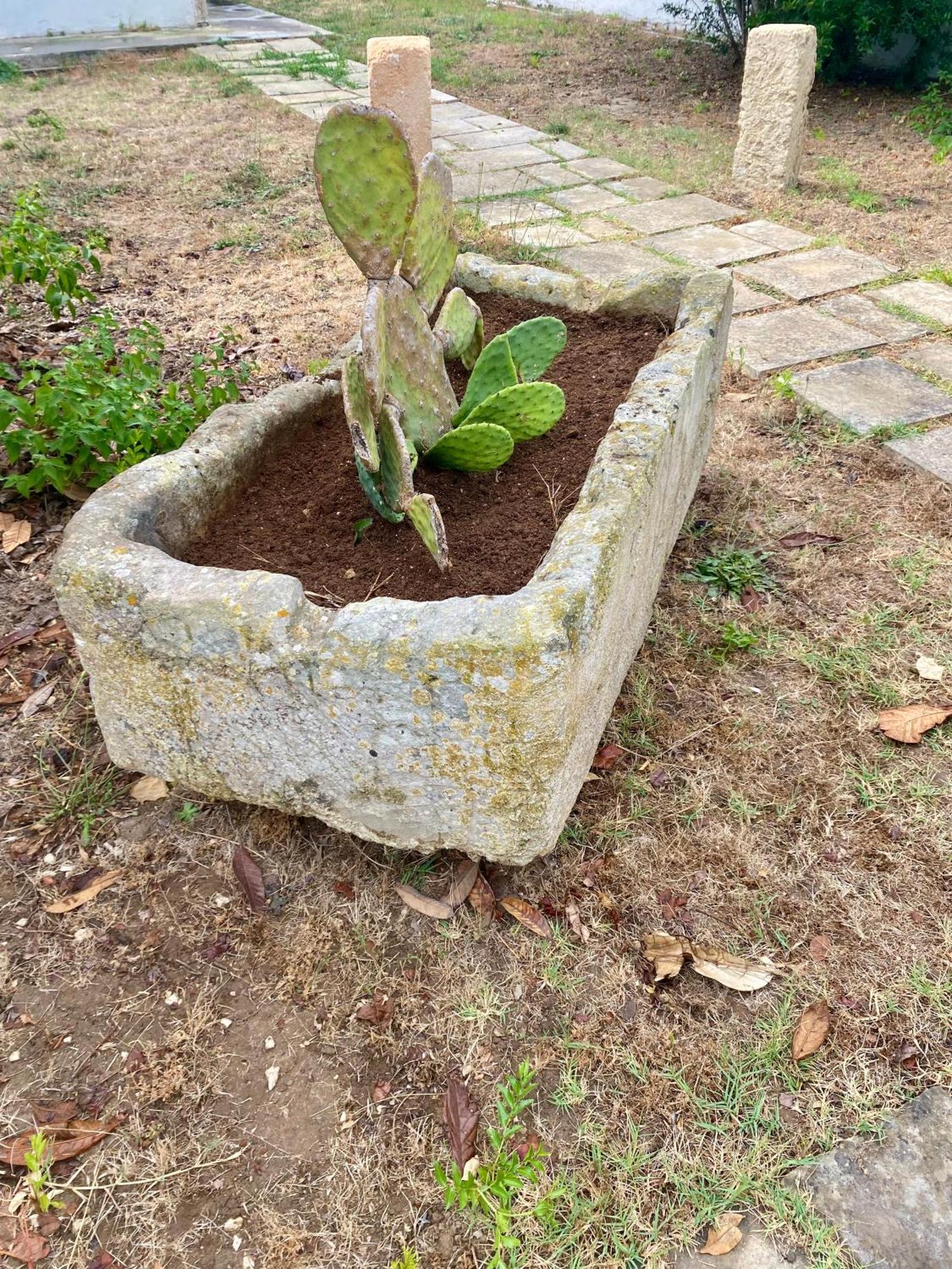 Salento Appartamenti Casalabate Eksteriør billede