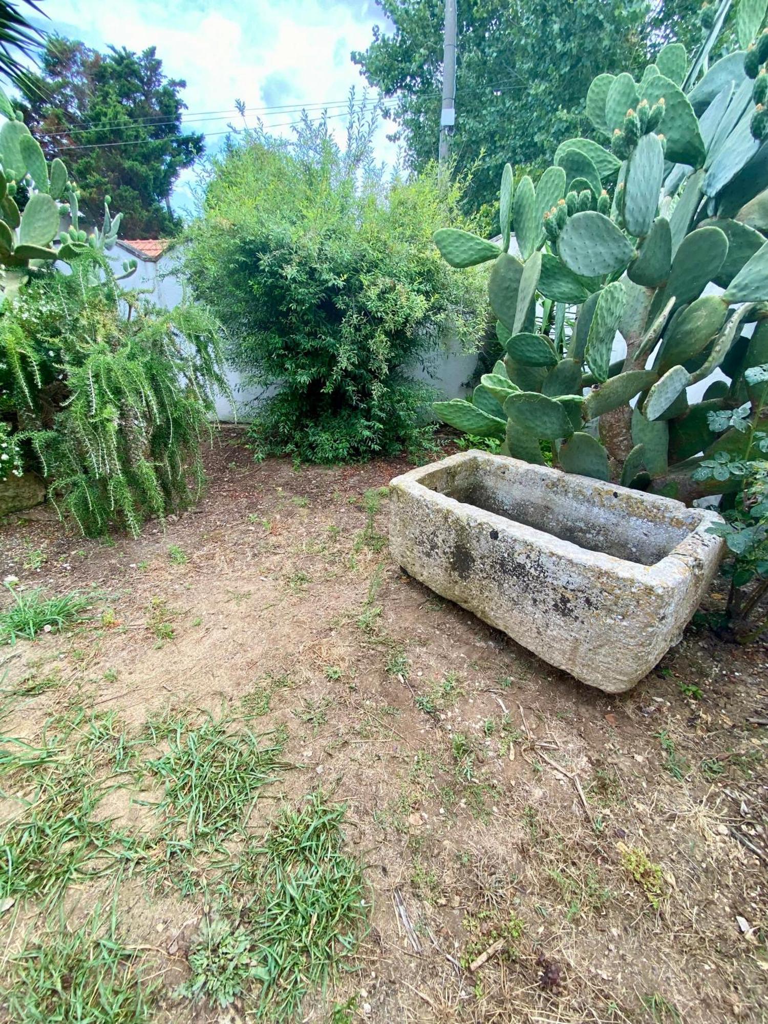 Salento Appartamenti Casalabate Eksteriør billede