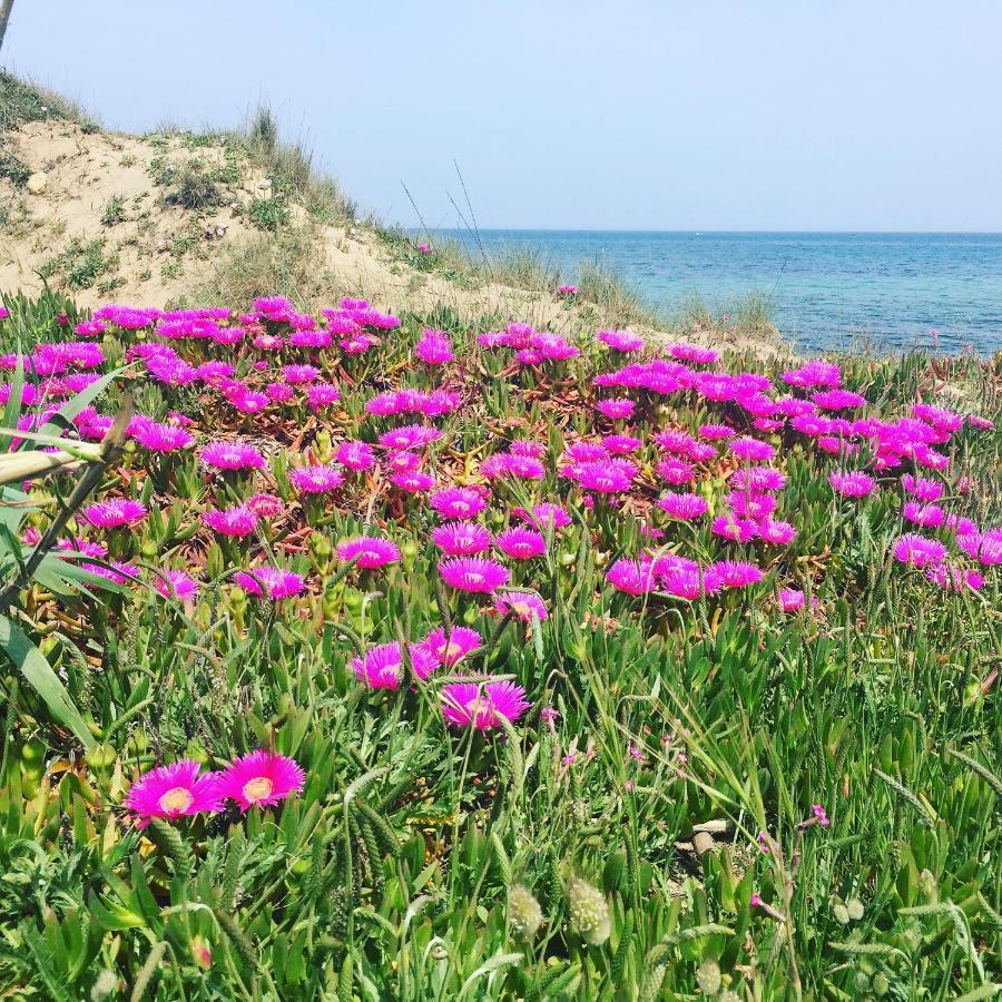 Salento Appartamenti Casalabate Eksteriør billede